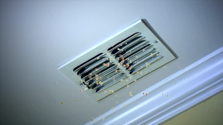 Best Professional Duct Cleaning Services  in Big River, CA