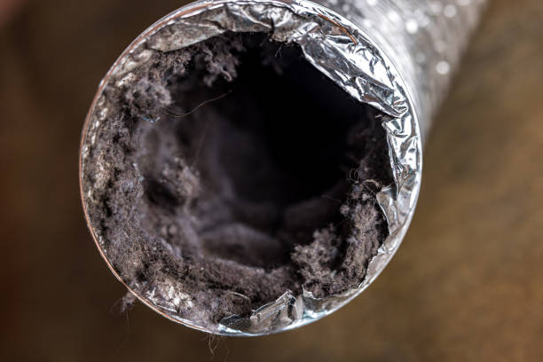 Best Duct Cleaning for Homes  in Big River, CA